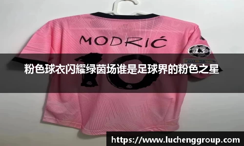 IM电竞-电子竞技平台